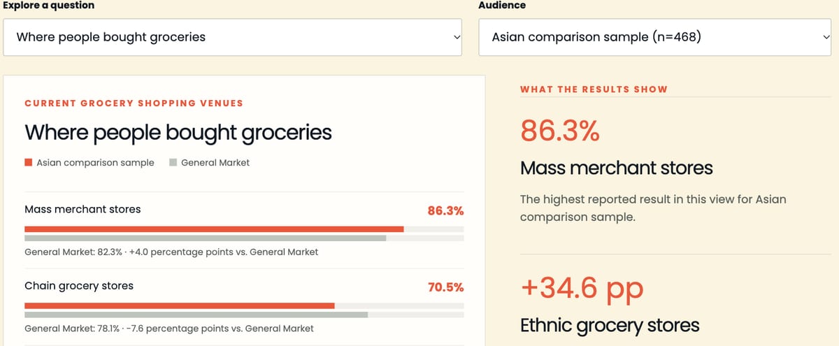 Interactive report preview showing audience selection and grocery shopping comparisons.